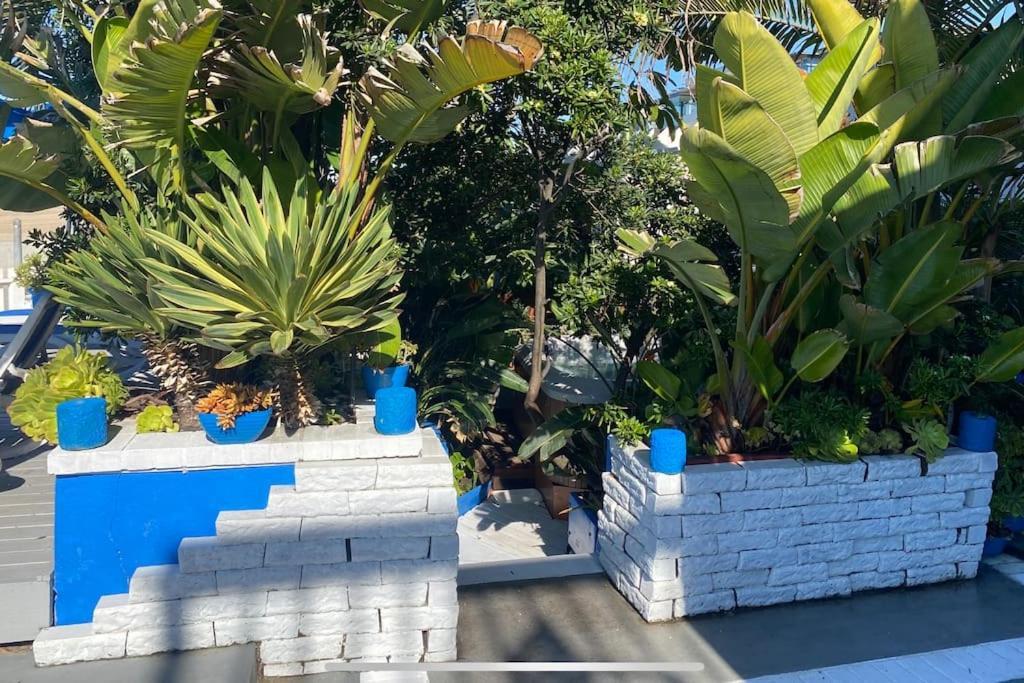 90210 Beach House Lower Unit 贺茂沙海滩 外观 照片